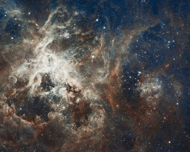 Interstellar Cultures
